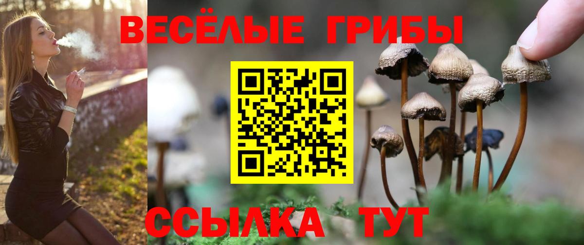 Бугульма  Псилоцибиновые грибы MAGIC MUSHROOMS  что такое наркотик  Вход с VPN 